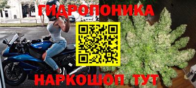 гашишное масло Гусев