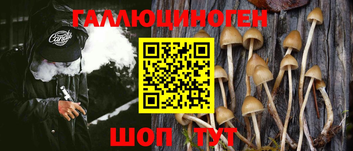 Галлюциногенные грибы MAGIC MUSHROOMS  Вход с VPN  Кировск 