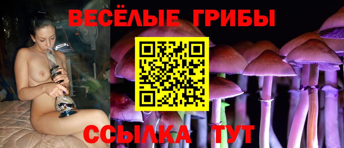 Галлюциногенные грибы мухоморы Кировск